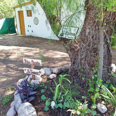 La Diamantina, Hospedaje Holistico San Marcos Sierra Dış mekan fotoğraf